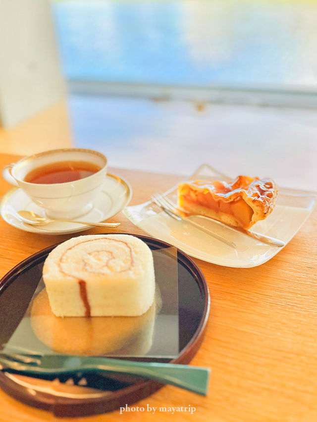 【秋田/秋田市】カフェのリフレクションが美しい美術館