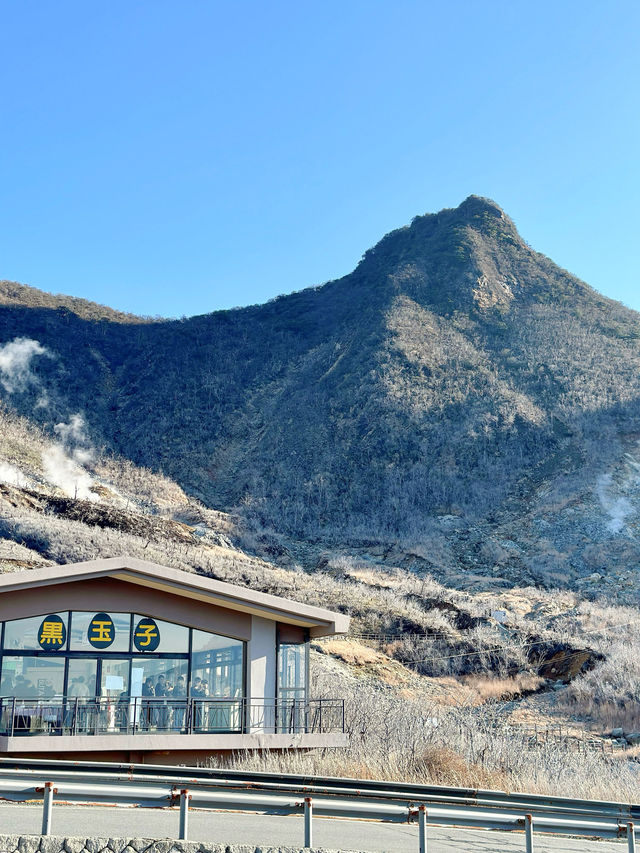 ✈️日本箱根大涌谷活火山半日遊🤎