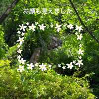 愛知県東海市　「聚楽園(しゅうらくえん）」の大仏