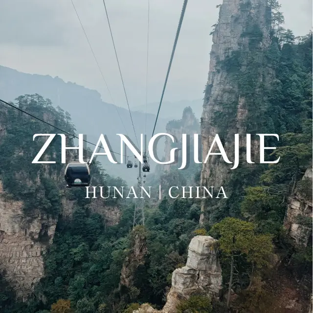 暢遊張家界阿凡達山谷，迎接中國免簽證