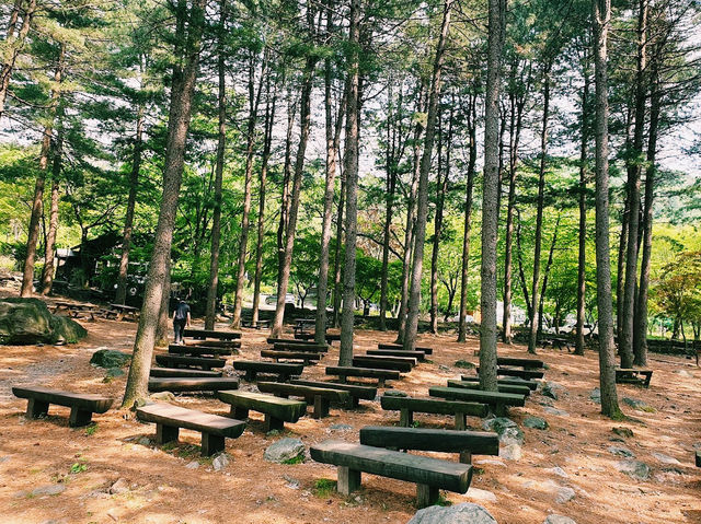 Yumyeongsan Nature Recreation Forest