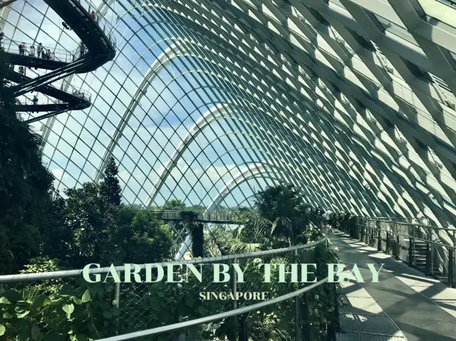เที่ยว Garden by the bay ที่สิงคโปร์ 