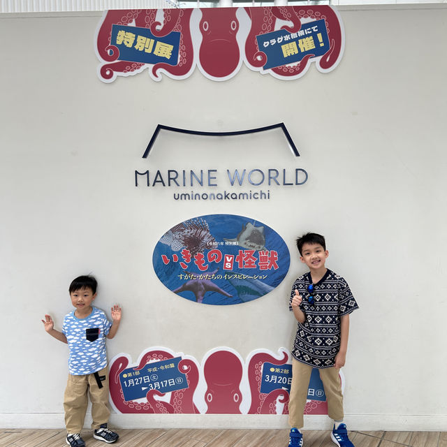 【 福岡之旅。以九州之海為主題的水族館 】 