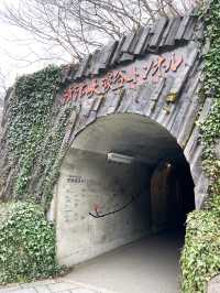 【新潟】SNSでも大人気！幻想的な空間のトンネル