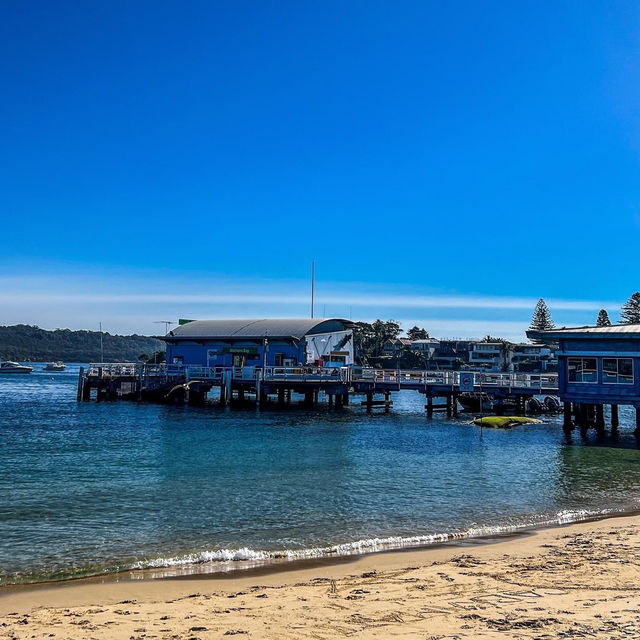 Our Unforgettable Watsons Bay Stroll 