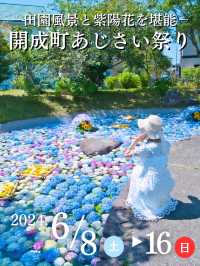 【神奈川】9日間の限定開催‼️あじさい池から田園風景まで楽しめる映えスポット※攻略ポイント付