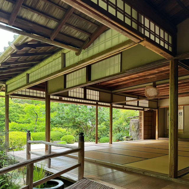 「清水觀音堂」- 神聖莊嚴的建築藝術與寧靜祥和的庭園景緻，探索東京神道文化的重要目的地