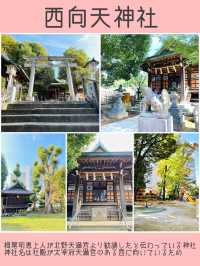 【新宿区神社旅①】おすすめスポット5選
