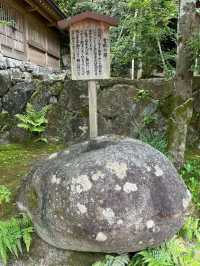 【福岡神社】初夏の風物詩のあじさい祭りがとてもキレイ