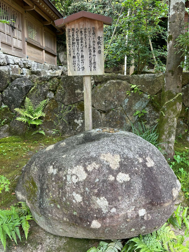 【福岡神社】初夏の風物詩のあじさい祭りがとてもキレイ