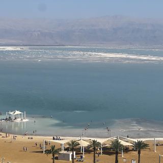 I want to go, but I can't go to the Dead Sea right now.