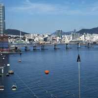드넓은 영도 바다