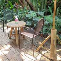 MiVana Coffee คาเฟ่ป่าในเมือง