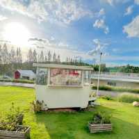 ห้องพักสไตล์แคมป์ปิ้ง 🌳 SOL Glamping Khaoyai
