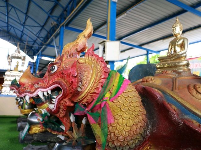 สักการะขอพรลอดพญาเต่า วัดหนองจับเต่า