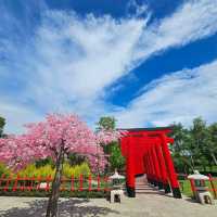 ฮิโนกิแลนด์(HINOKI LAND)