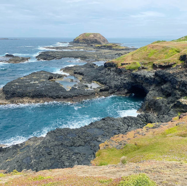 Coastal Bliss at Cape Woolamai, Phillip Island, Victoria 🇦🇺