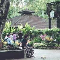 Singapore Botanic Garden