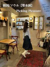 韓国/ソウル【聖水洞】Picking Pleasure