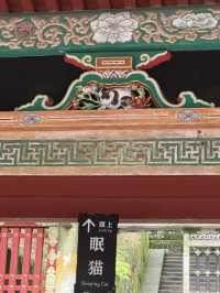 【栃木】世界遺産！日光東照宮