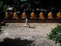 วัดเขาพระอังคาร วัดโบราณพันปี บุรีรัมย์
