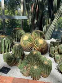 高知 / 朝ドラのモデル！牧野植物園