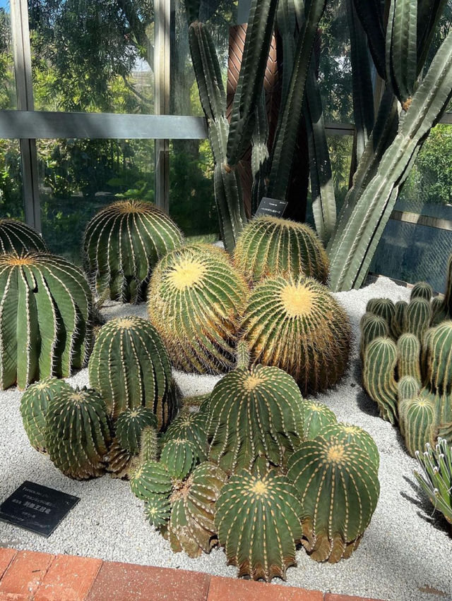 高知 / 朝ドラのモデル！牧野植物園