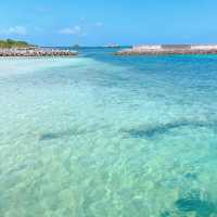 【竹富島】素敵な重要伝統的建造物群保存地区✨