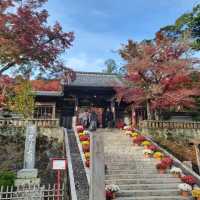 【伊豆半島】修善寺