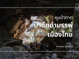 หุบป่าตาด評論 