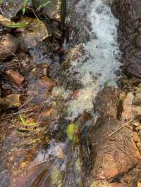 น้ำตกคำน้ำสร้าง ในอุทยานแห่งชาติภูผายล สกลนคร
