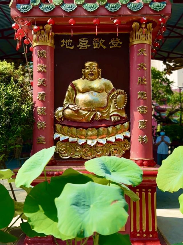 Explore Ho Chi Minh City on a day tour! 🇻🇳🏙️ 