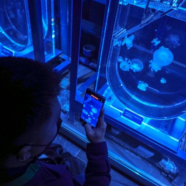 สำรวจโลกใต้น้ำใจกลางโตเกียวที่ Sumida Aquarium 🪼