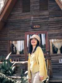 สวนป่าดอยบ่อหลวง อ.ฮอด Chiangmai