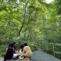 【軽井沢】必ず抑えたい自然を感じられる大人気スポット🌱