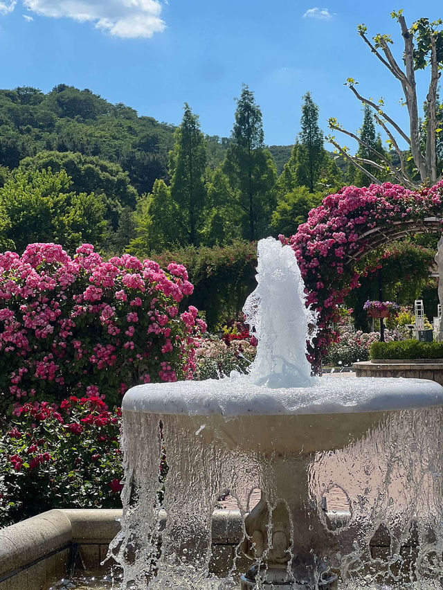 😍🥨행복하고 재미있는 용인 에버랜드 테마파크💐