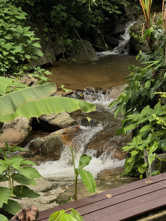 ที่พักแม่กำปอง | จ.เชียงใหม่ 🏡⛰️🍃💤