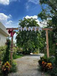 ☕️ Hansa cafe food garden