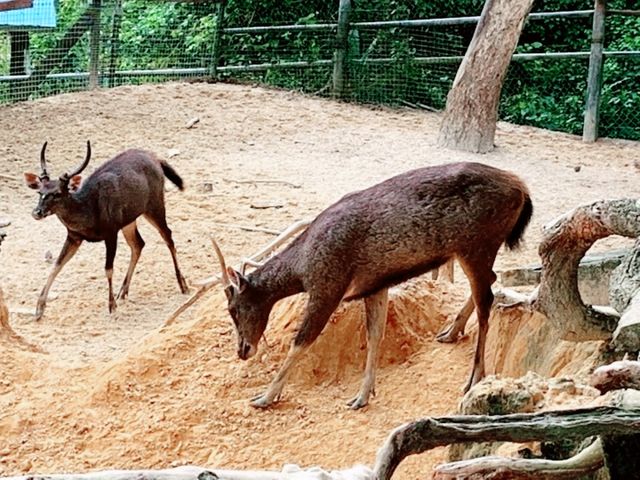 Taman Tumbina Zoo
