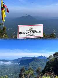 A Serene Morning Hike Through the Pristine Forest of Mount Singai