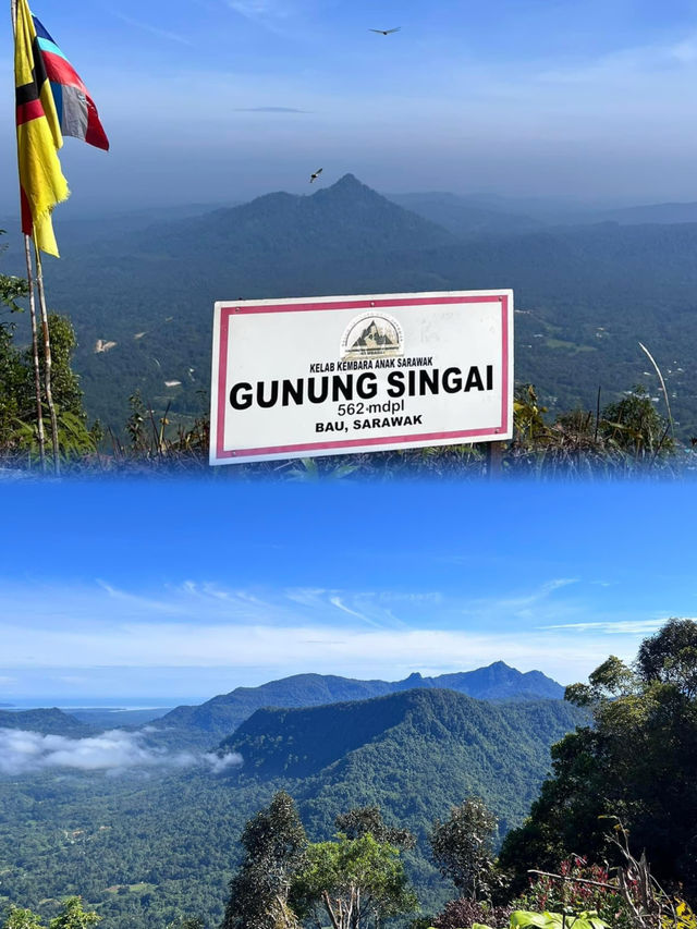 A Serene Morning Hike Through the Pristine Forest of Mount Singai