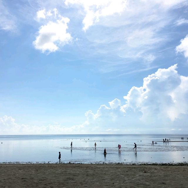 ♡菲律賓~薄荷島 Bohol Island
