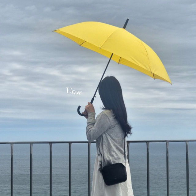 강릉 바다가 포토 액자가 되는 인생 포토존📷