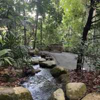 The joy of music and serenity of gardens