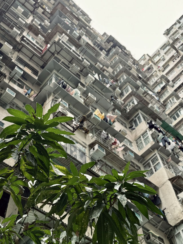 레트로한 분위기와 세련된 무드가 동시에, 홍콩은 생각보다 특별해요.