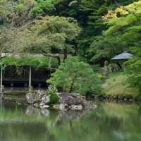 心靈平靜😌 伊麻神社