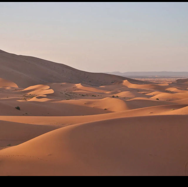 Sahara desert Morocco 