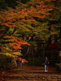 【青森】「ここはすべてが魅力的である。」と海外の文献に残る紅葉スポット🍁観光攻略付き✨