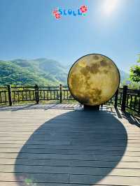 🇰🇷 Gamaksan Viewing Observatory Forest Trail