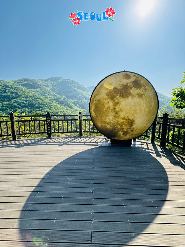 🇰🇷 Gamaksan Viewing Observatory Forest Trail